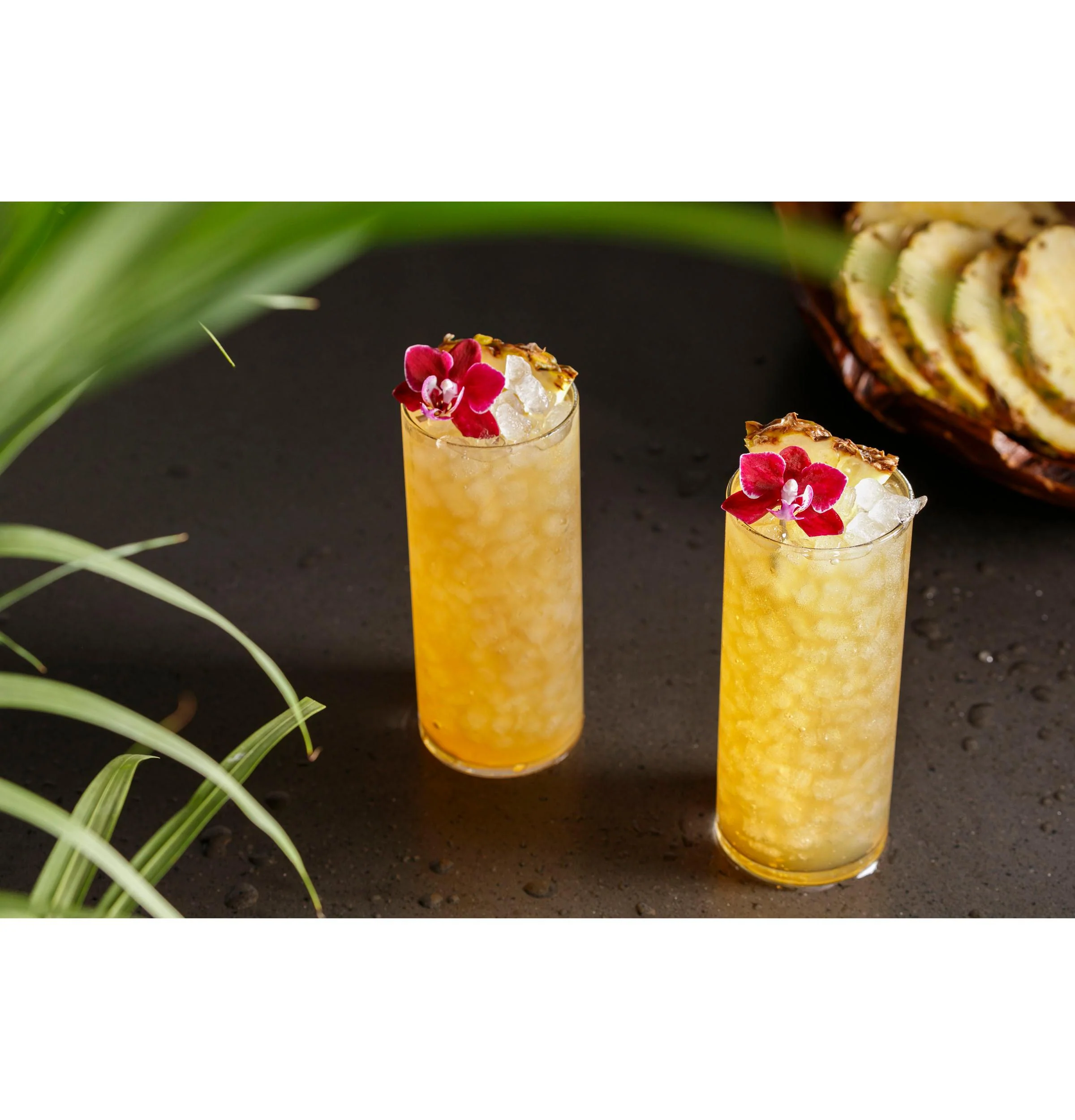 XPIO23BCBT GE Profile™ Opal™ 2.0 Nugget Ice Maker - Image 10
