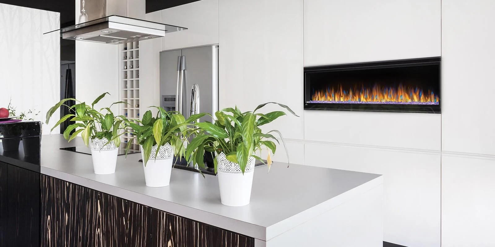Napoleon Bbq NEFL60CHS1 Alluravision 60 Slimline Wall Hanging Electric Fireplace