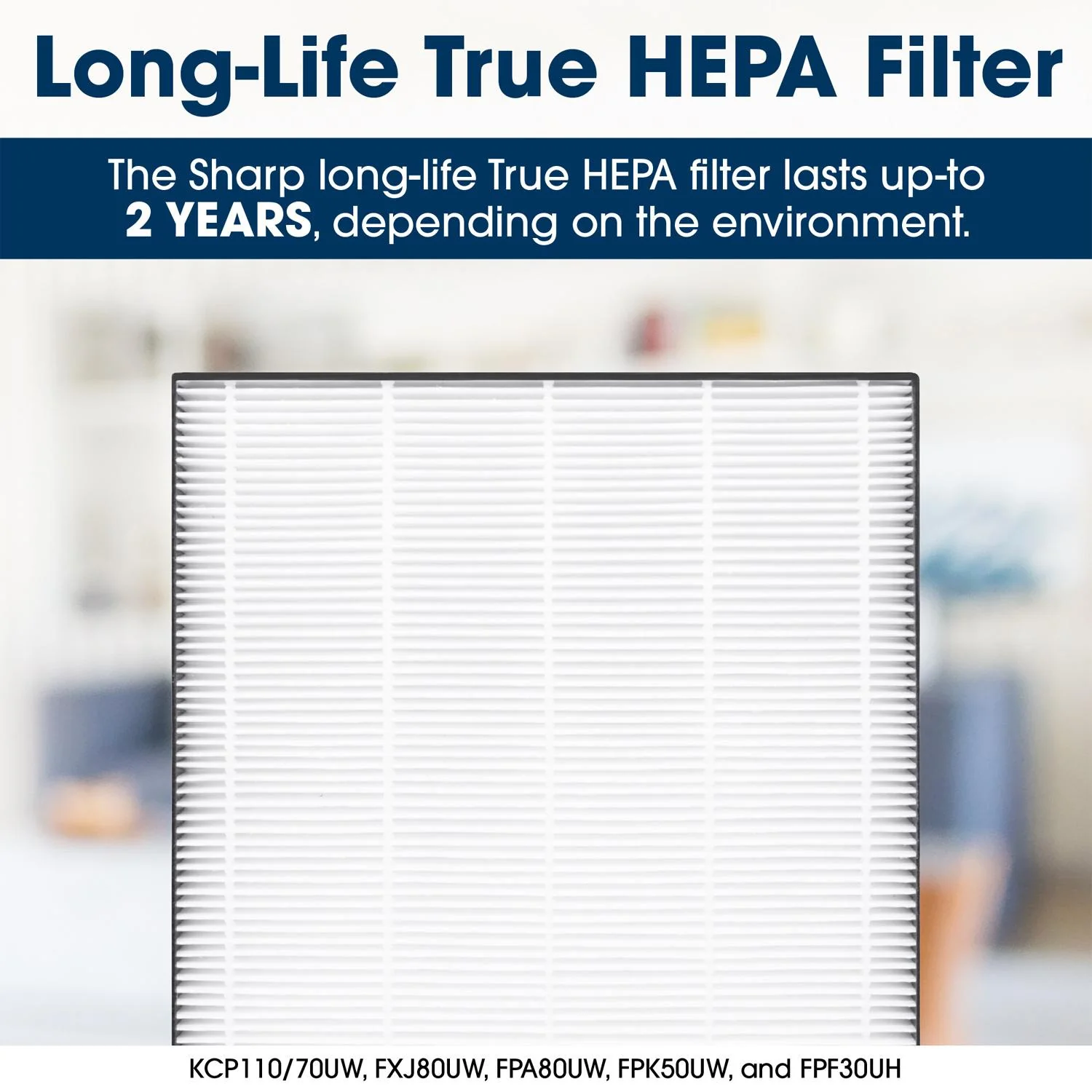 FZA80HFU Sharp True HEPA FPA80UW Replacement Filter - Image 7
